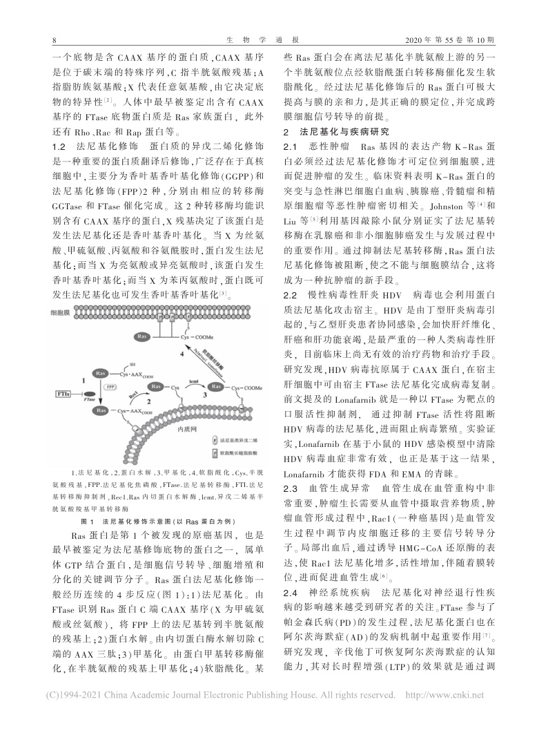 Page2.jpg